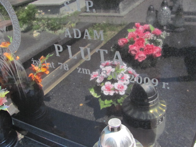Adam Pluta  Zalesie Górne - Grobonet - Wyszukiwarka osób pochowanych
